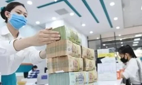 Nhiều doanh nghiệp phụ thuộc vào tài sản thế chấp