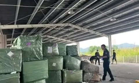 Bắt giữ 4 container hàng giả thương hiệu Louis Vuitton, Rolex, Chanel