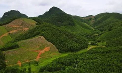 Dừng việc đưa 13 ha đất đầu nguồn nước vào đấu giá mỏ đất ở Thanh Hóa