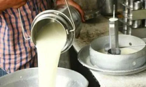 Đột kích một căn nhà, công an triệt phá đường dây sản xuất sữa giả từ hóa chất, tịch thu bột mì, sorbitol và máy pha trộn công nghiệp
