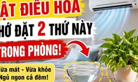 Trước khi bật điều hòa, người khéo thường đặt thêm 2 thứ này trong phòng: Vừa dễ ngủ vừa đỡ khô da