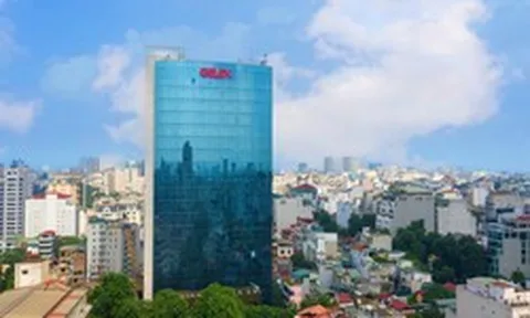 Hạ tầng Gelex lập thêm một công ty ở TP HCM vốn 30 tỷ đồng