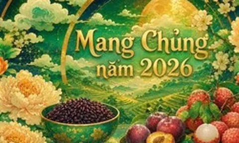 Mang Chủng là gì?