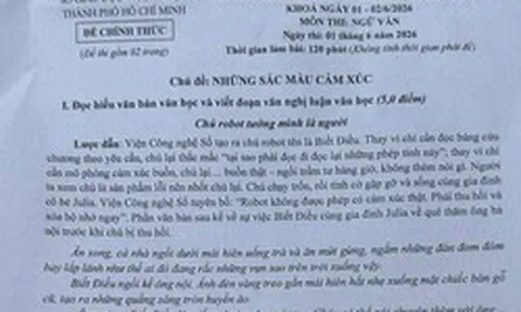 Đề văn lớp 10 tại TPHCM nói về sự cằn cỗi của cảm xúc