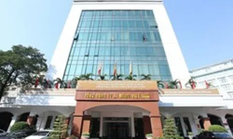 VICEM báo lỗ 3 năm liên tiếp, kiểm toán viên nghi ngờ về khả năng hoạt động liên tục của nhiều công ty con