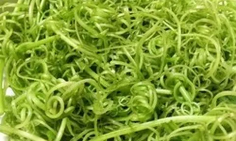 Phát hiện 5 loại rau bán đầy chợ có nguy cơ nhiễm ký sinh trùng cao bậc nhất, nhiều người không biết vẫn chủ quan