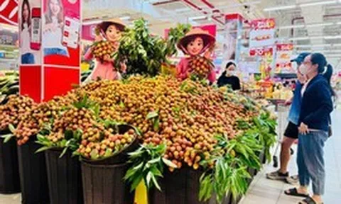 Nâng cao hiệu quả xúc tiến thương mại cho các nông sản chủ lực và sản phẩm OCOP