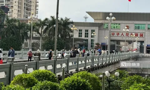 Quảng Ninh: Hải quan khu vực VIII thu ngân sách đạt gần 7.500 tỷ đồng