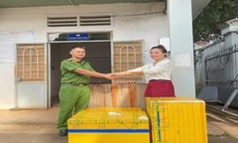 Nhặt được 3 thùng xốp khả nghi, người đàn ông ở Gia Lai lập tức báo công an: Bất ngờ với thứ bên trong thùng