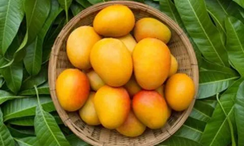 2  loại quả được ví như "thần dược" cho não bộ, nhất quả số 1 hễ ra chợ là thấy