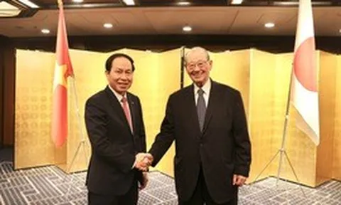 Phó Thủ tướng Lê Tiến Châu tiếp Hội đồng Thúc đẩy ngoại giao nhân dân (Nhật Bản)