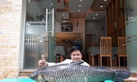 "Thủy quái" sông Đà và bí mật phía sau kích thước khổng lồ