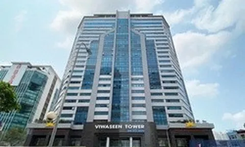 Liên tục xuất hiện các thương vụ gom cổ phần Viwaseen