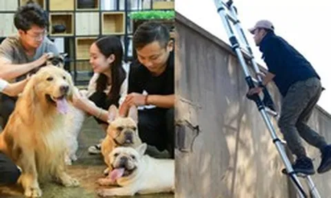 Nghề “theo dõi, giải cứu thú cưng” 22 ngày nhận lương 130 triệu đang hot ở Trung Quốc: Khách hàng đôi khi chỉ mua hy vọng
