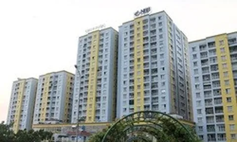 Năm Bảy Bảy bán toàn bộ cổ phiếu quỹ trong tháng 7