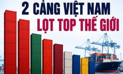 Tự hào: Hai cảng container Việt Nam đứng Top hiệu quả nhất toàn cầu
