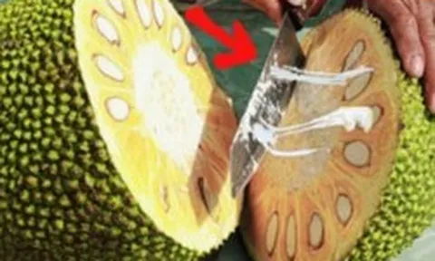 Bổ mít mà bôi thêm 1 lớp này, dao trơn tuồn tuột, vừa không lo dính nhựa, lại còn dễ vệ sinh