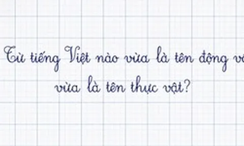 Trong tiếng Việt có một từ vừa là tên động vật vừa là tên thực vật