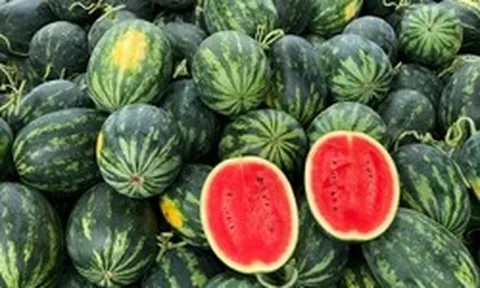 5 lời khuyên khi mua dưa hấu