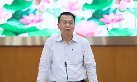 Thứ trưởng Tài chính lý giải nguyên nhân nhập siêu tăng vọt hơn 15 tỷ USD