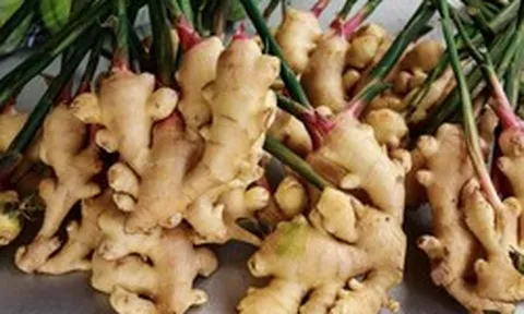 Nhiều người Việt dùng hàng ngày nhưng chưa biết: Loại gia vị này có thể mang lại nhiều lợi ích hơn tưởng tượng