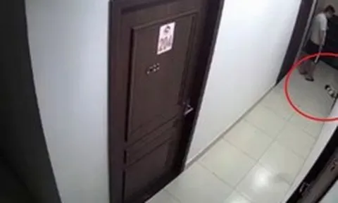 Xôn xao nam thanh niên đá chết chú chó rồi bỏ vào thùng rác chung cư ở Hải Phòng: Người đăng clip lên tiếng