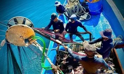 Theo chân ngư dân Quảng Ngãi trên ngư trường