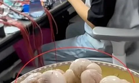 Đĩa măng cụt đang khiến 1 gia đình thành tâm điểm MXH: Kiểu yêu thương con này có phải ngột ngạt quá rồi không?