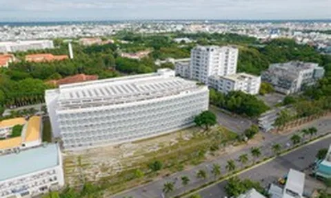 Việt Nam có 1 đại học vùng đạt doanh thu hơn 1.200 tỷ đồng/năm, quy tụ đến 221 Giáo sư, Phó Giáo sư, vừa vào BXH tốt nhất toàn cầu