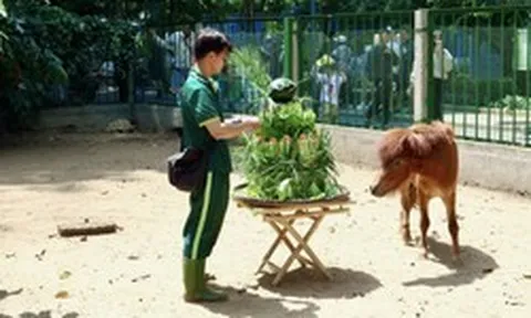 Nhiều người sẽ bất ngờ sau khuyến cáo của Thảo Cầm Viên Sài Gòn