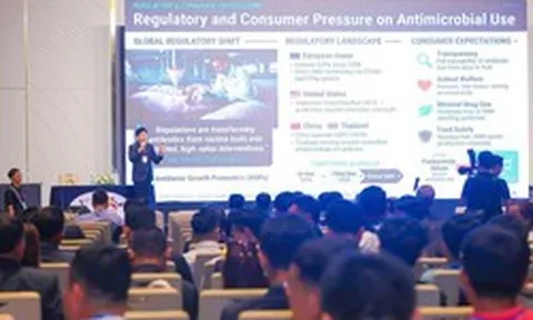 Hướng tiếp cận mới trong chăn nuôi heo bền vững