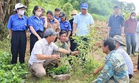 Một năm vận hành chính quyền hai cấp: Sự chuyển mình mạnh mẽ ở xã vùng cao Quảng Ngãi