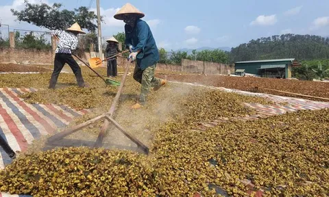 Quảng Ninh: Giữ vững đà tăng trưởng ngành nông nghiệp