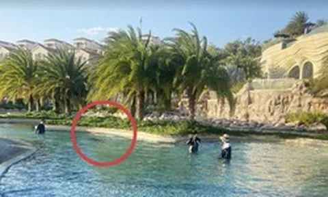 Phục hồi điều tra vụ bé 11 tuổi người Nhật tử vong ở hồ bơi tại resort