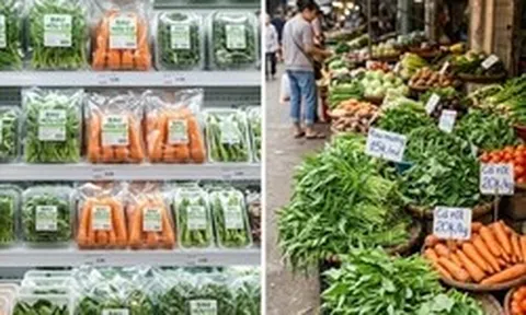 Nên mua rau hữu cơ hay rau thông thường?