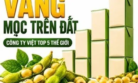 Được GS.TS Trần Đình Long ví như “vàng mọc trên đất”, loài cây này giúp một doanh nghiệp Việt vào Top 5 thế giới, doanh thu hơn 4.100 tỷ đồng/năm