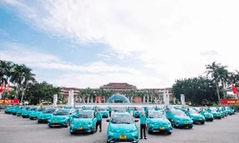 Green SM của tỷ phú Phạm Nhật Vượng được rót vốn hơn 1 tỷ USD từ đầu năm, vốn điều lệ vượt SHB, HDBank