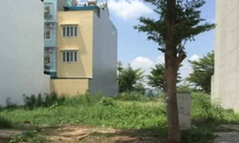 Tôi vô tình biết được bố mẹ chồng đã bán đất từ nhiều tháng trước, lý do nực cười là... vì tôi