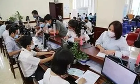Từ 1/7, viên chức bị kỷ luật buộc thôi việc khi nào?