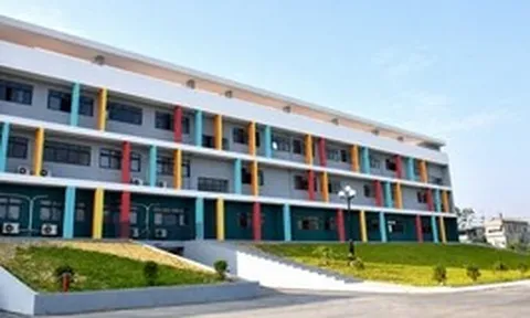NÓNG: Bộ GD&ĐT thông tin ban đầu vụ một trường ở Tuyên Quang có tới 147 điểm 10 môn Toán thi tốt nghiệp THPT