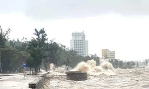 Bão số 1 áp sát, Hải Phòng và Quảng Ninh khẩn cấp cấm biển, sẵn sàng sơ tán dân
