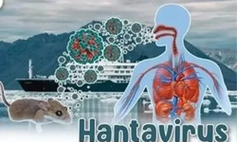 Bộ Y tế lên tiếng về dịch bệnh do virus Hanta