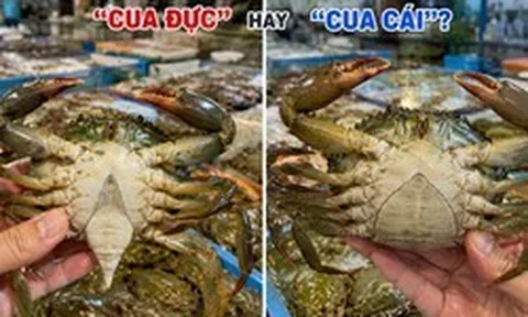 Đi chợ nên mua "cua đực" hay "cua cái"?