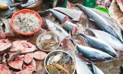 Người bán cá nói thật: Khách thường chọn con to, người trong nghề lại nhìn vào 5 dấu hiệu này trước