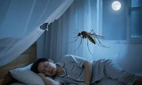 Vì sao muỗi vo ve trong bóng tối, nhưng lập tức biến mất khi bật đèn?