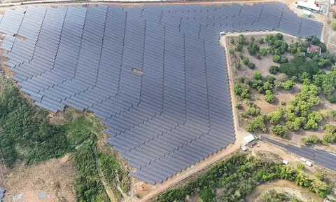 Trinasolar cung cấp mô-đun cho dự án điện mặt trời Bugallon công suất 25 MWp của PetroGreen tại Philippines