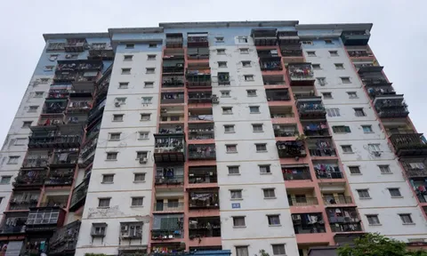 Thị trường căn hộ đã qua sử dụng: Đang được ưa chuộng