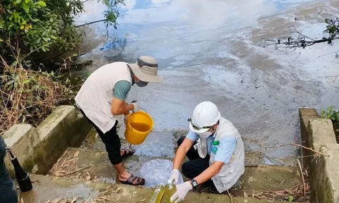 Thừa Thiên - Huế: Cá chết bất thường, nghi doanh nghiệp xả thải