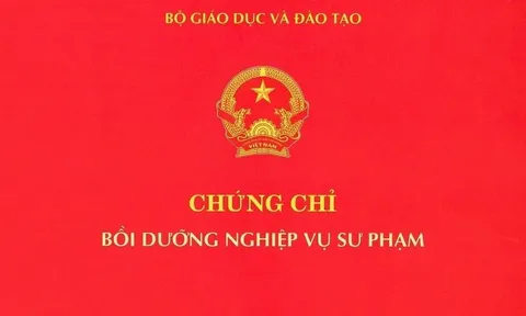 Quản lý chặt chẽ phôi chứng chỉ nghiệp vụ sư phạm
