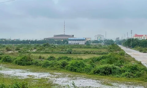 Khu đất “vàng” nghìn tỷ ở Ninh Bình: Bỏ hoang do mập mờ đấu giá?